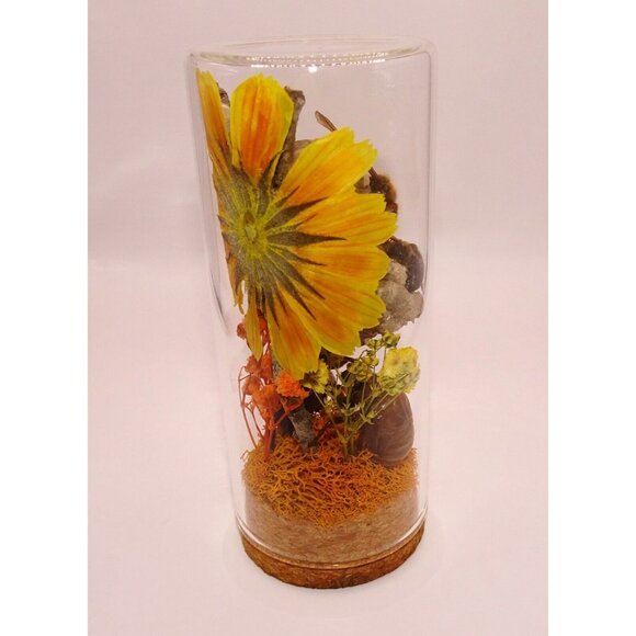 Wasp Nest Hornet Bees Rhinoceros Beetle Cicada Skin Oddity Jar flowers taxidermy - Picture 11 of 13